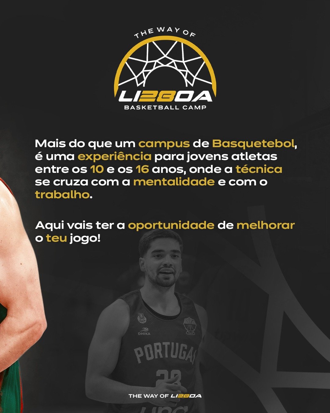 NOVO_02