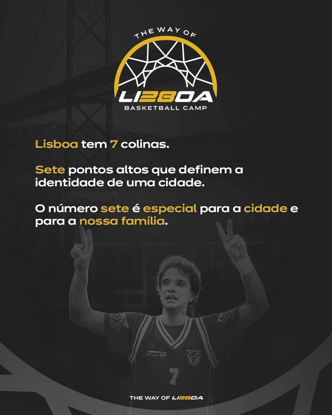 NOVO_03