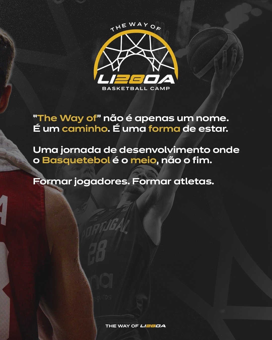 NOVO_06