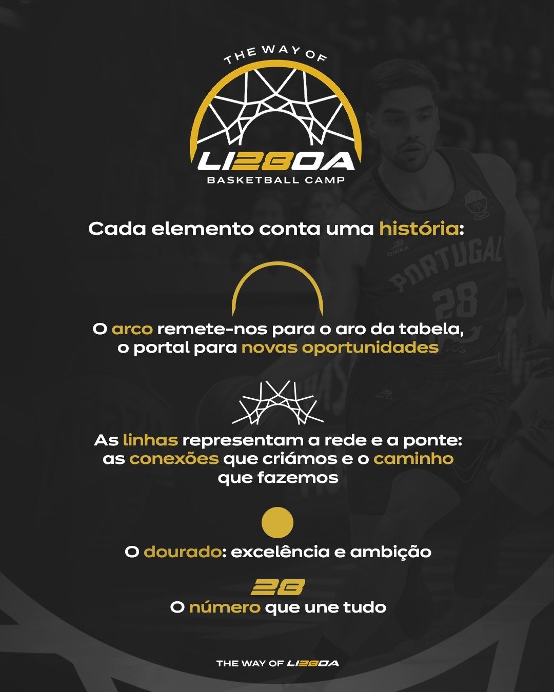 NOVO_07