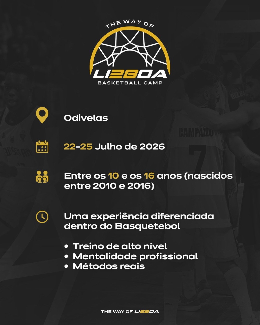 NOVO_08