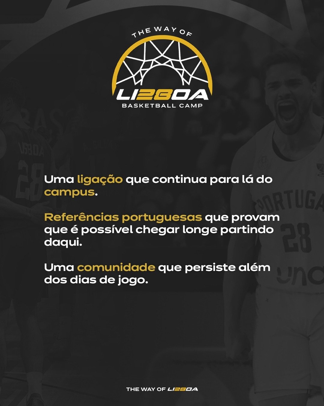 NOVO_09